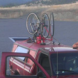 Schwinn Sprint Purple