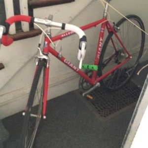 2019 Giant Allegre Red