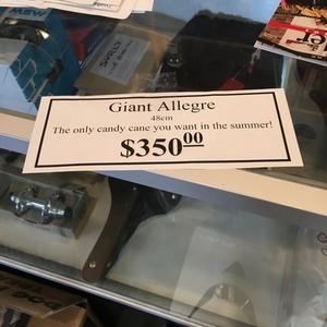 2019 Giant Allegre Red