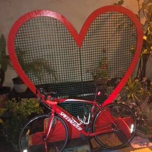 2010 Specialized Allez Elite Compact Red