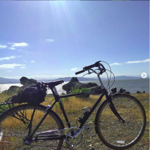 2011 Linus 51cm top tube roadster Black