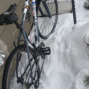 2013 Trek Blue, White, and Stickers tape or other cover-up
