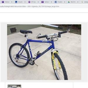 1998 Raleigh M-60 Blue