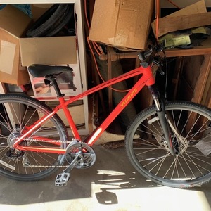 2019 Specialized Pink