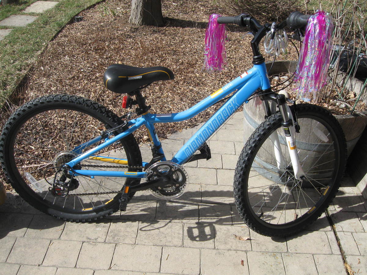 nino schurter bike specs 2018