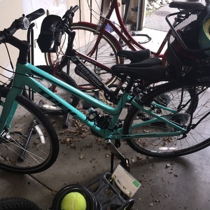 Trek Fx2 Teal