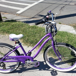2013 Giant gloss girls  Purple