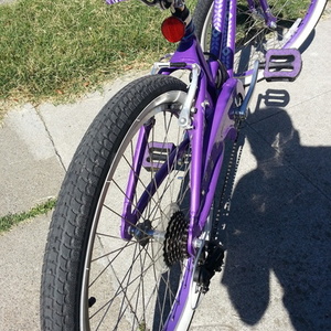 2013 Giant gloss girls  Purple