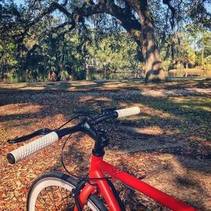 State Bicycle Co. Wildcat 54cm Red