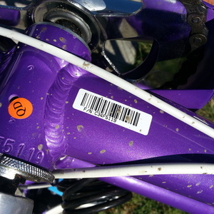 2013 Giant gloss girls  Purple