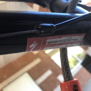 2010 Specialized Allez Sport Compact Black