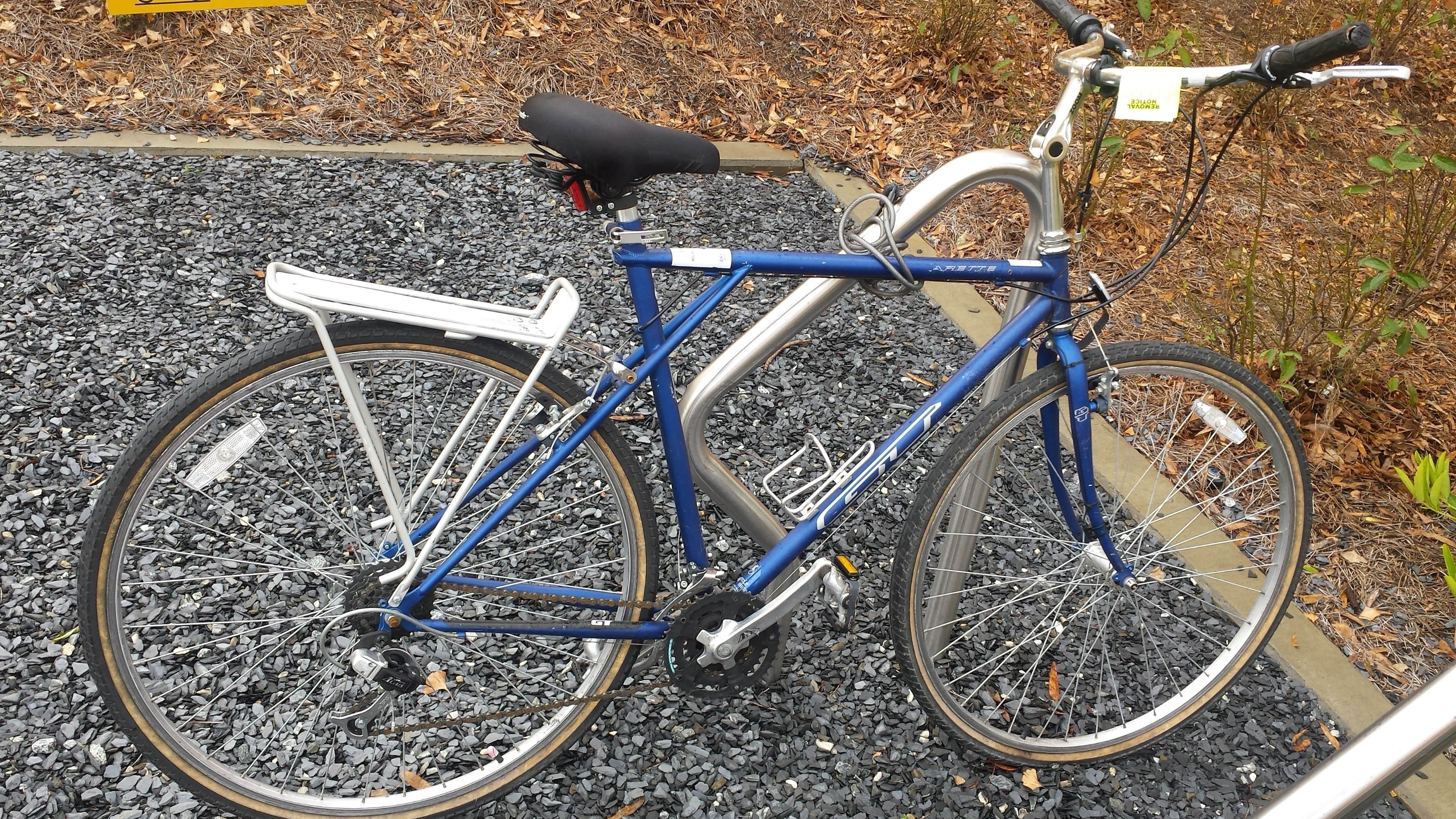 schwinn pathway
