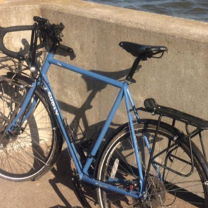 2016 Surly Disc Trucker Blue
