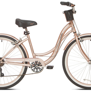 Schwinn Cruiser with Basket Brown