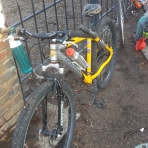 Marin Bikes nail trail Yellow or Gold, Black, and Silver, gray or bare metal