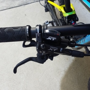 2017 Giant Anthem advance 1 Blue, Yellow or Gold, and Black