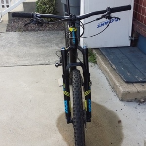 2017 Giant Anthem advance 1 Blue, Yellow or Gold, and Black