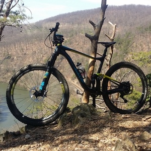 2017 Giant Anthem advance 1 Blue, Yellow or Gold, and Black