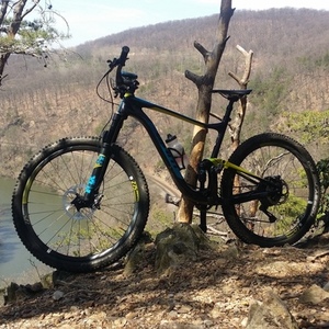 2017 Giant Anthem advance 1 Blue, Yellow or Gold, and Black