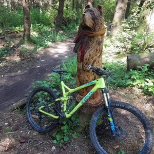 2016 Trek Remedy 27.5 Green and Blue