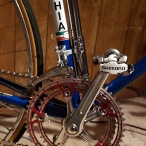 1969 Bottecchia Professional model Blue