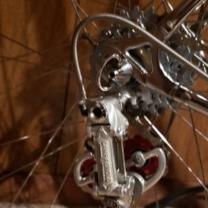 1969 Bottecchia Professional model Blue