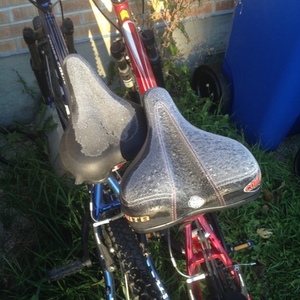 2010 Rocky Mountain Bicycles  Red and White