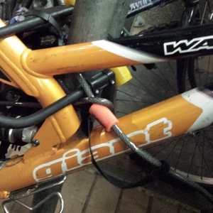 Giant DS2DDS2MountM??  Orange