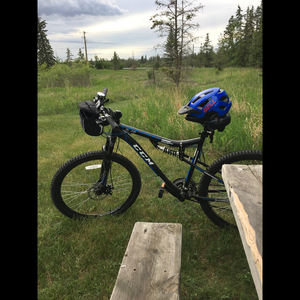 2017 CCM Blue