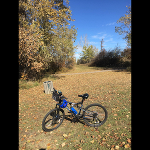 2017 CCM Blue
