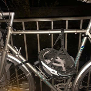 1980 Puch Pacifica Silver, gray or bare metal