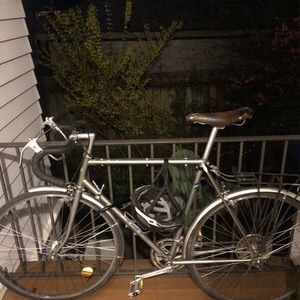 1980 Puch Pacifica Silver, gray or bare metal