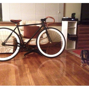 2014 Pure Fix Black
