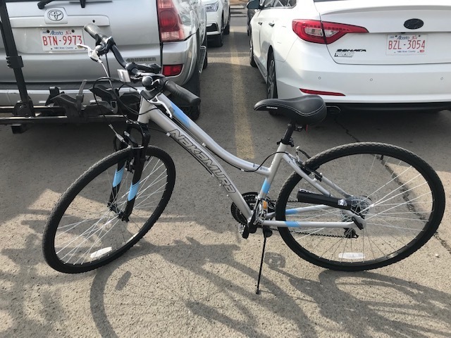 nakamura royal 700c women's hybrid bike