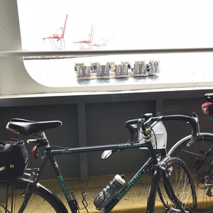 1996 Bianchi San Remo Silver, gray or bare metal