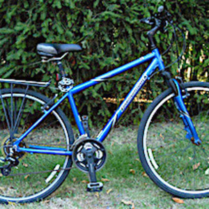Diamondback Blue