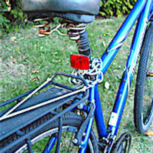 Diamondback Blue