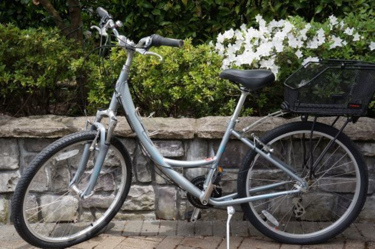 specialized globe ladies bike