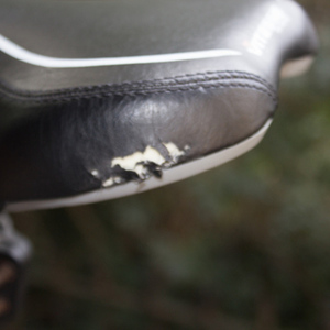 2014 GMC 6061  Black and Orange