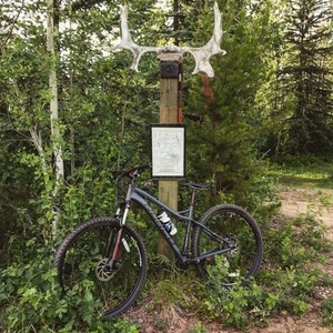2015 Norco Bikes Storm 9.2 Silver, gray or bare metal