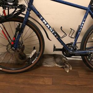 2018 Masi Giramondo Blue