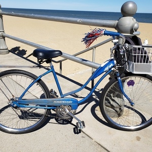 2019 Rollfast American Flightweight Blue