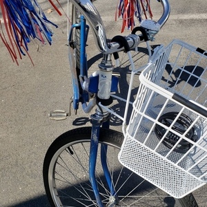 2019 Rollfast American Flightweight Blue