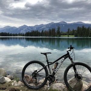 Norco Bikes Black