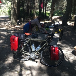 2017 Surly Long Haul Trucker Brown