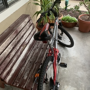 2007 Schwinn Silver, gray or bare metal and Red