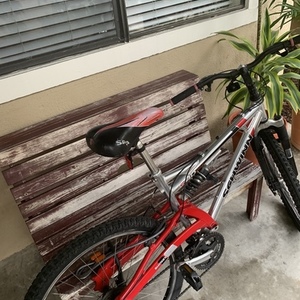 2007 Schwinn 40DSX Silver, gray or bare metal, Red, and Black