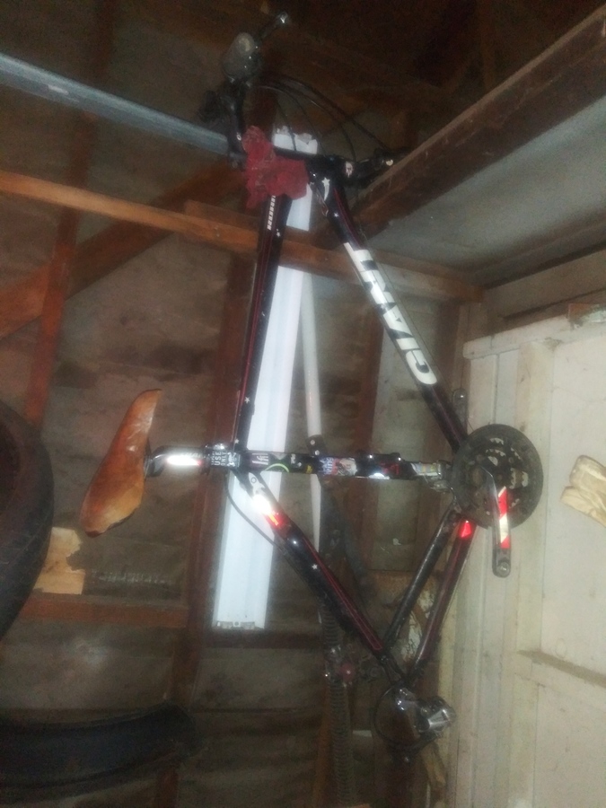 Tall Bike photo