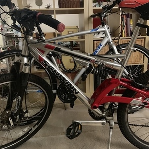 2007 Schwinn 40DSX Silver, gray or bare metal, Red, and Black