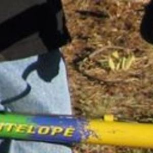 Trek 820  Yellow or Gold, Green, and Blue